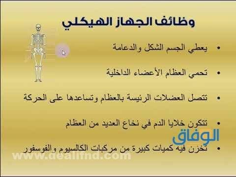  وظائف الجهاز الهيكلي