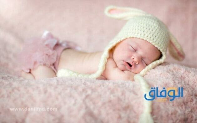 تبريك مولود | +60 مبتكرة وجميلة
