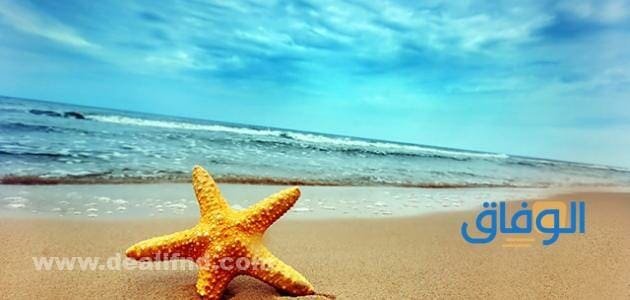 كلام عن البحر