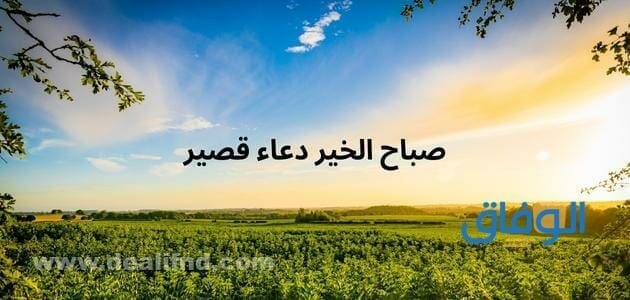 صباح الخير دعاء قصير | +50 أجمل أدعية الصباح مكتوبة