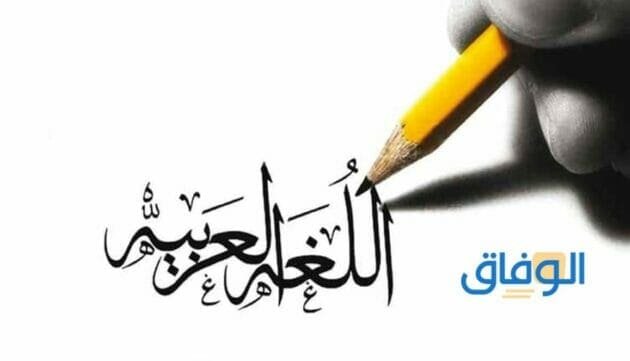 كلام عن اللغة العربية