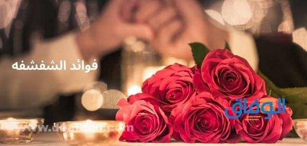 فوائد الشفشفه