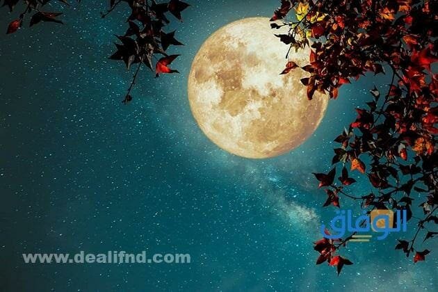 كلام عن القمر | عبارات عن القمر والليل مميزة 2024