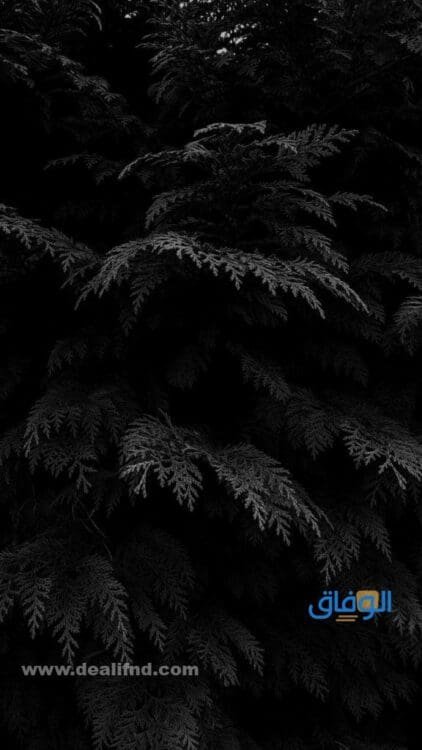 خلفيات سوداء فخمه| أروع+33 خلفية Black منوعة وجديدة رمزيات