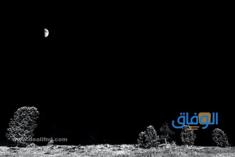 خلفيات سوداء فخمه| أروع+33 خلفية Black منوعة وجديدة خلفيات سوداء متحركة