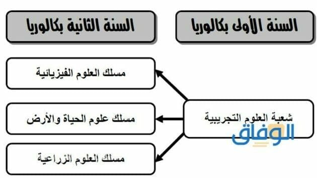 تخصصات شعبة علوم تجريبية | مميزات دراسة العلوم التجريبية