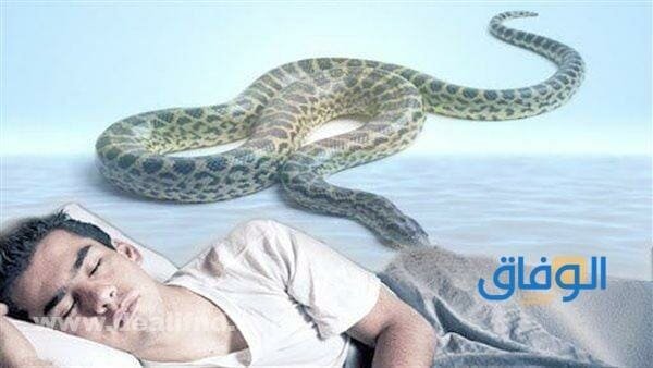 تفسير الثعبان في المنام