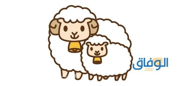 30 قصة من قصص الأنبياء مكتوبة .. تناسب للأطفال مذهلة! قصص الأنبياء مكتوبة