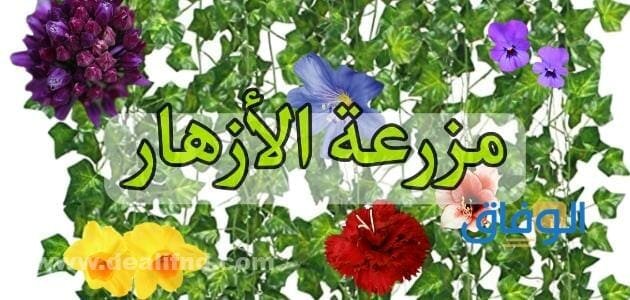 +7 من أفضل قصص قبل النوم .. خيال يعزز الأبداع للأطفال قصص قبل النوم