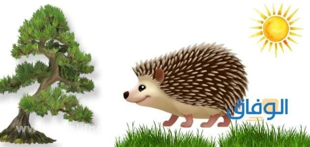 +30 قصه خياليه للأطفال والكبار .. تفاصيل ممتعة جدا! قصه خياليه