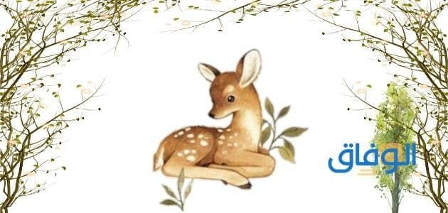 +30 قصه خياليه للأطفال والكبار .. تفاصيل ممتعة جدا! قصه خياليه