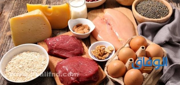 اكلات فيها بروتين