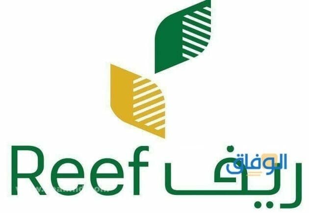 الدعم الحكومي الريفي