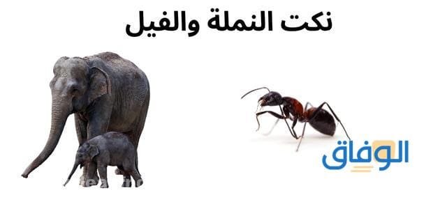 نكت النملة والفيل | +300 أشهر النكت المضحكة جدا