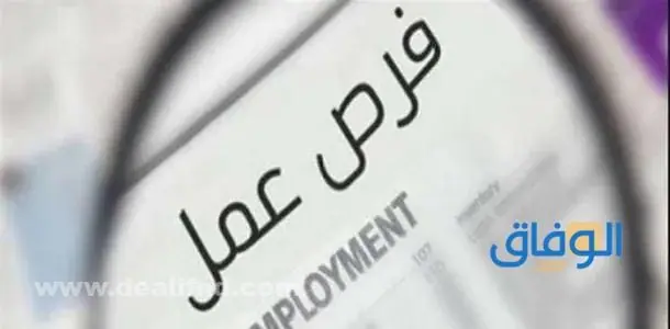 وظائف حكومية و توظيف مباشر