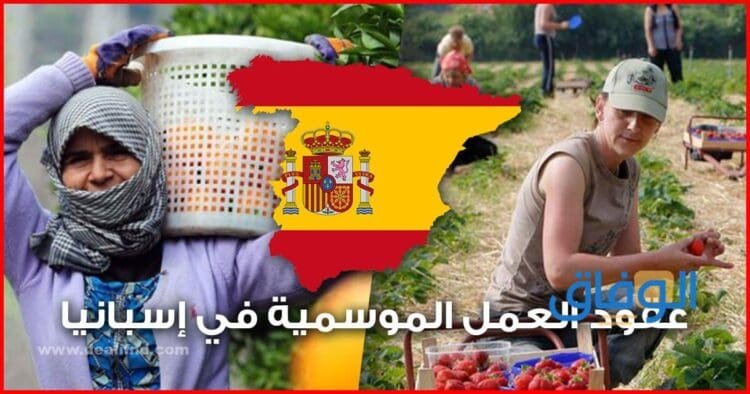 رواتب العمل في إسبانيا