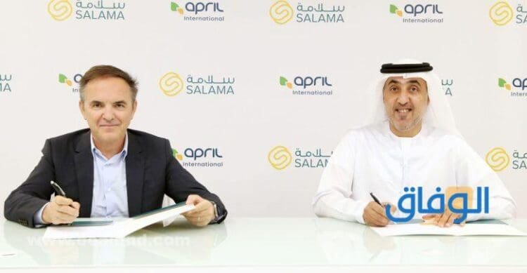 تامين سلامه