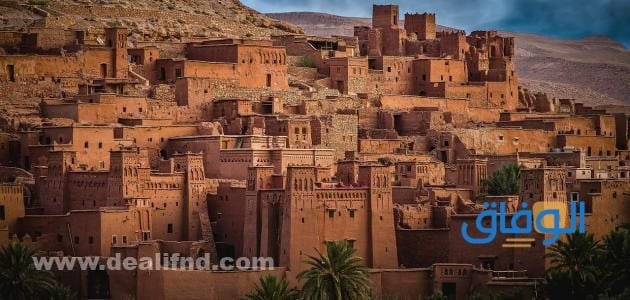 راتب العمدة في المغرب | أعلى رواتب المهن في المغرب 2024