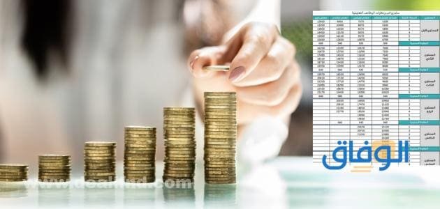 رواتب الموظفين بعد الخصخصه
