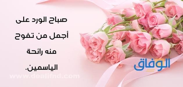 صباح الورد والياسمين