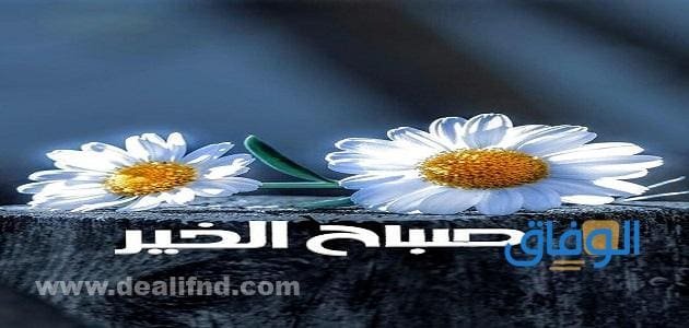 صور عن الصباح