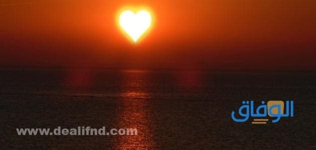 عبارات جميلة عن الحب