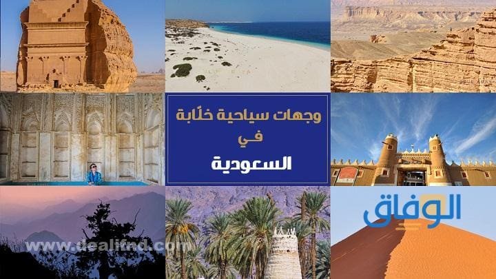 بحث شامل عن السياحة في السعودية pdf السياحة في السعودية pdf