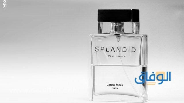 أفضل أنواع عطر سبلانديد | أسعار برفان Splandid عطر سبلانديد للنساء