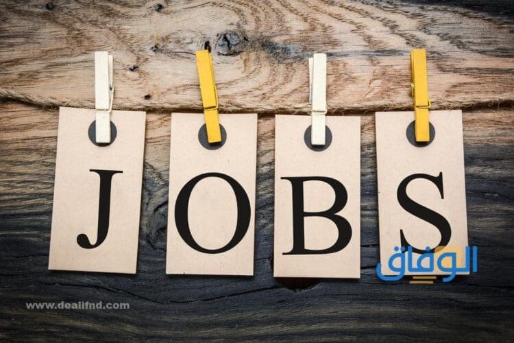 وظيفه ثانوي