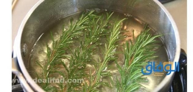 +10 أهم فوائد اكليل الجبل للشعر | الطريقة الصحيحة لاستعماله كيف أستخدم زيت الروزماري لنمو الشعر؟