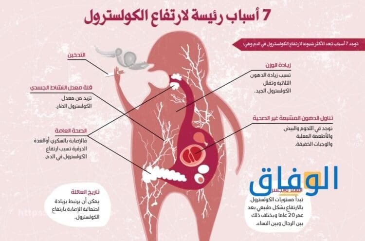 اعراض ارتفاع الكولسترول وأسبابه | +05 طرق فعالة للوقاية أسباب زيادة نسبة الكولسترول في الجسم