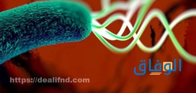 10 من أبرز اسباب جرثومة المعدة | طرق لعلاج الجرثومة مجربة