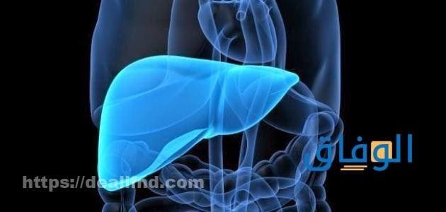 جميع اعراض دهون الكبد | الطرق الفعالة للعلاج والوقاية