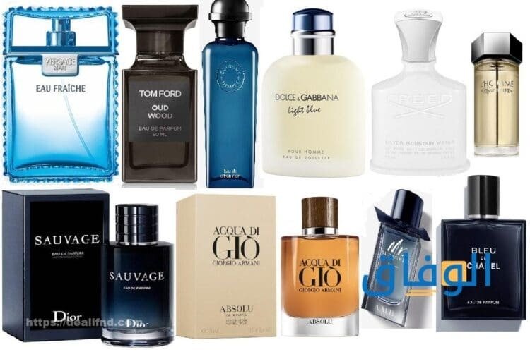 افضل العطور الرجالية 2024  | +10عطر رجالي جذاب وفواح جداً