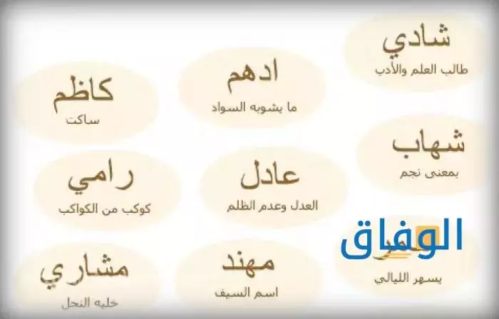 سعر عطر قصه