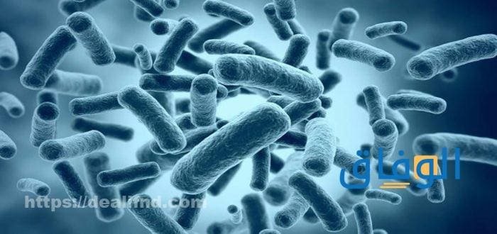 أهم أعراض نقص البكتريا النافعة | مصادر زيادتها!