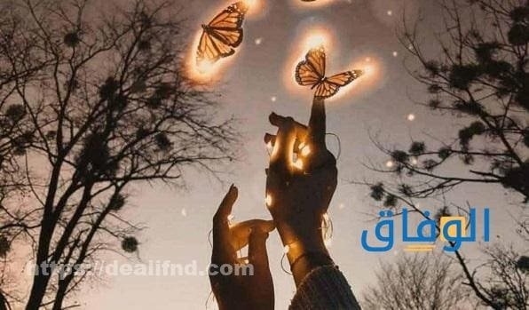 أجمل الصور الجديدة