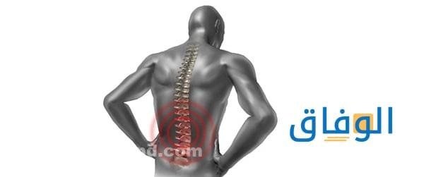 أسباب ألم الظهر: اضطرابات العظام والمفاصل والعضلات