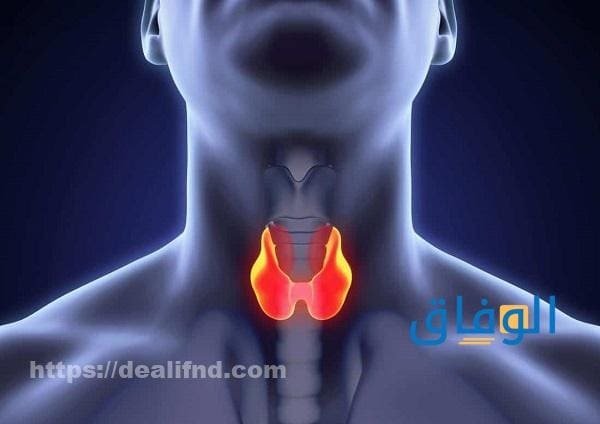 أعراض الغدة الكسلانة