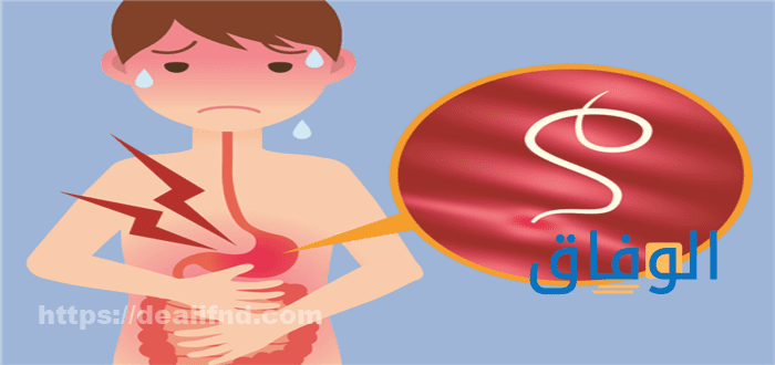 اعراض ديدان البطن | +5 طرق فعالة ومجربة للتخلص من الديدان