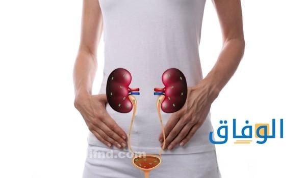 اعراض التهاب الكلى 