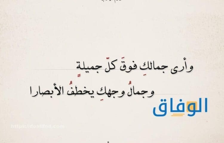 عبارات نرجسية | + 88 عبارة نرجسية جميلة ومكتوبة