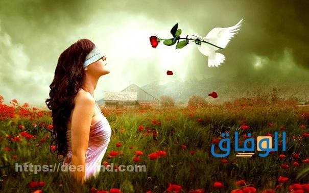 + 150 أروع خلفيات واتس اب فخمة جديدة ومنوعة 2023