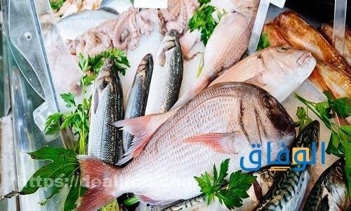 أشهر + 15 انواع السمك في السعودية | تعرف عليها