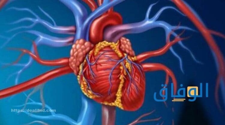 أعراض انسداد الشرايين
