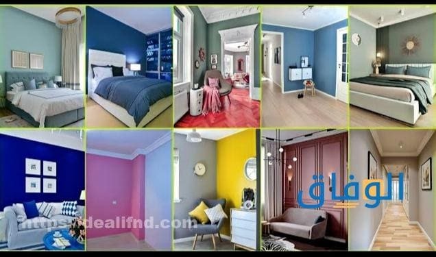 أحدث دهانات صالات شقق 2026 | كيفية اختيار الألوان المناسبة أجمل ألوان دهانات الحوائط