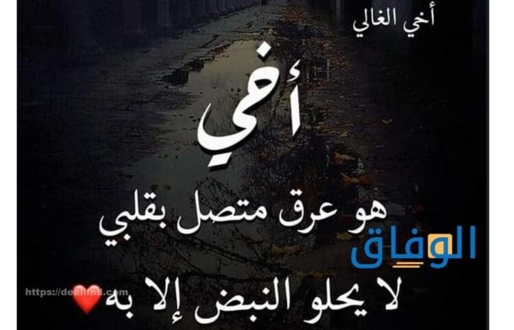  كلام عن أخي سندي | عبارات عن الأخ مكتوبة