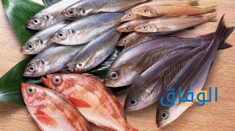 تفسير السمك في الحلم | للعزباء وللرجل