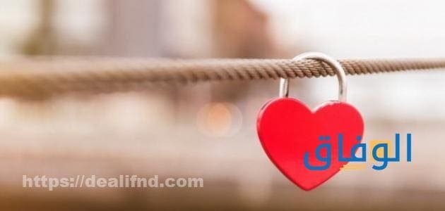 خواطر في الشوق