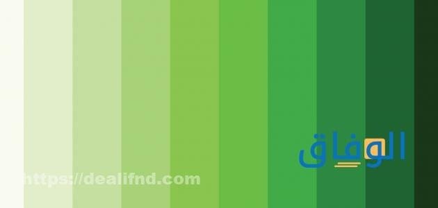 افضل لون مع الرمادي|+ 6 الوان يرشحها لك الخبراء أفضل لون مع الرمادي